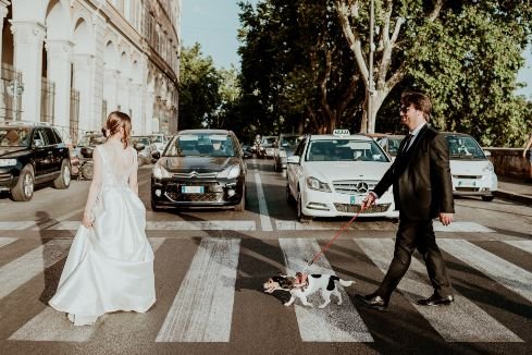 artistic wedding photo of recently married couple walking their dog on a pedestrian crossing in italy